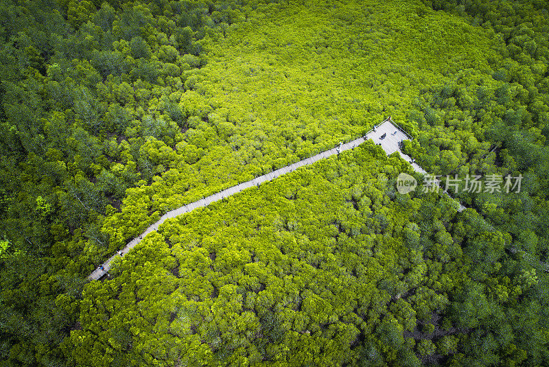 鸟瞰图(无人机拍摄)红树林与晴朗的天空背景在泰国罗永通