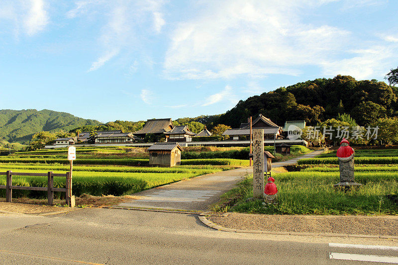 日本飞鸟村的入口标志和稻田。