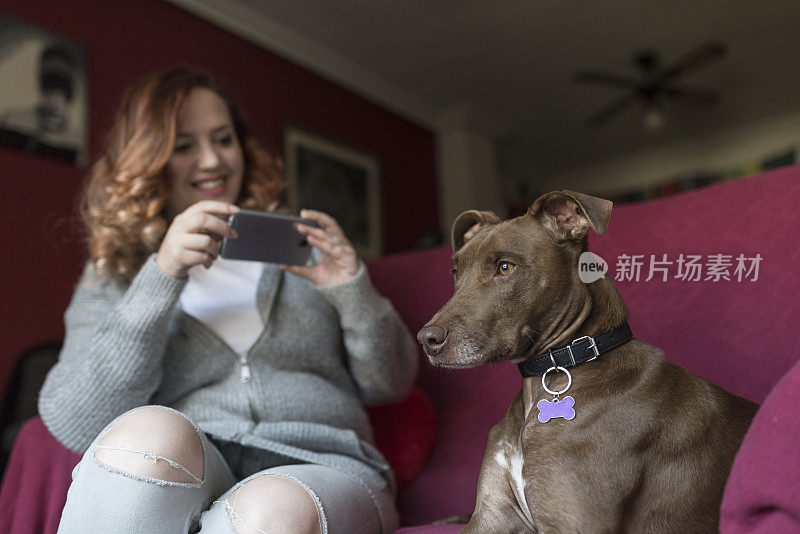 一位妇女在自家的沙发上给她的狗狗拍了一张充满爱意的照片