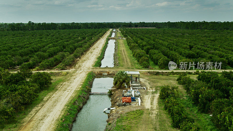 佛罗里达橙林灌溉渠-无人机拍摄
