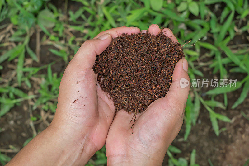 女性手握堆肥土壤