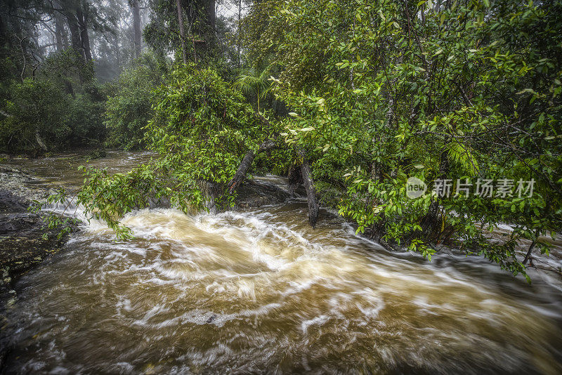 雨后潺潺的小溪瀑布