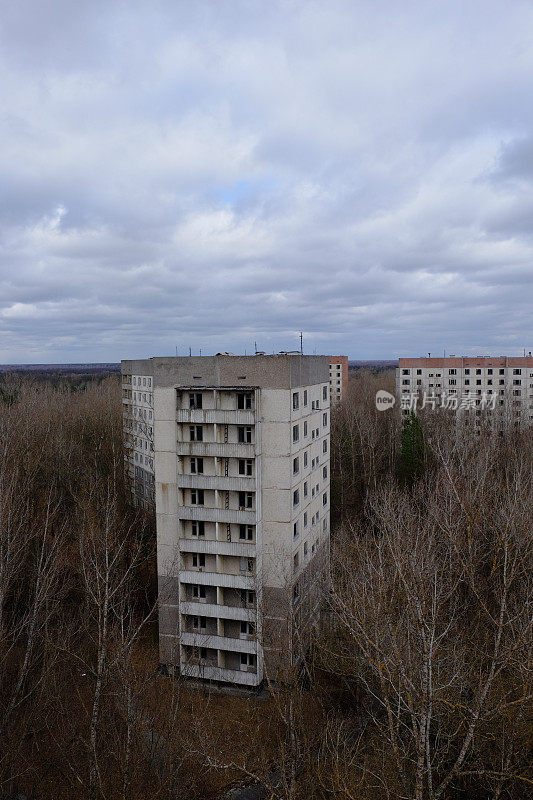 普里皮亚季(Pripyat)，在光秃秃的树林中，废弃的板房。城市上空美丽的多云天空。苏联解体后的架构。