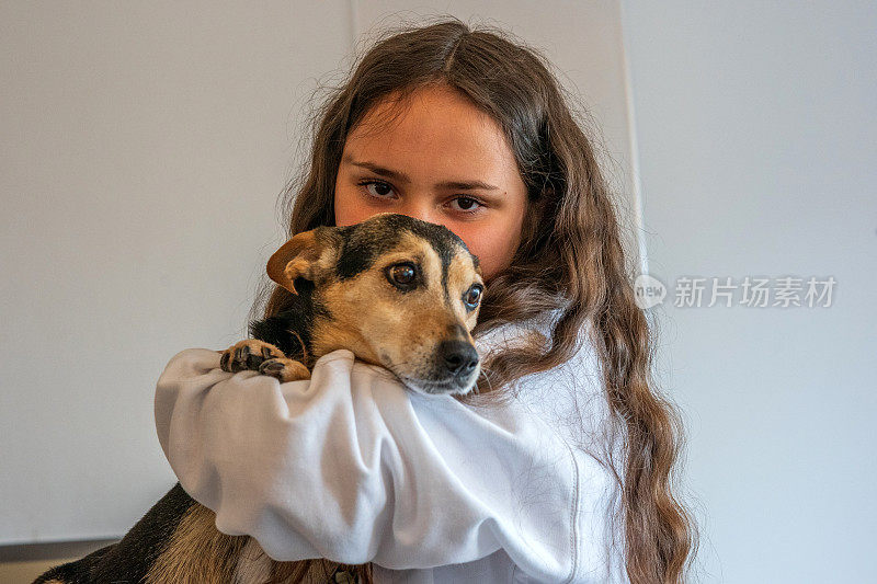 13岁的女孩和宠物狗梗犬
