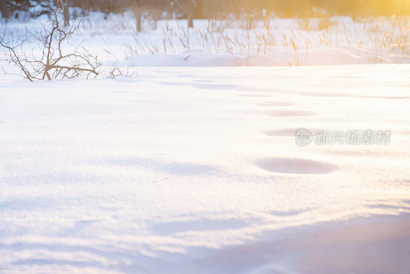 在刚刚落下的雪地上留下的痕迹被夕阳柔和的光线照射着