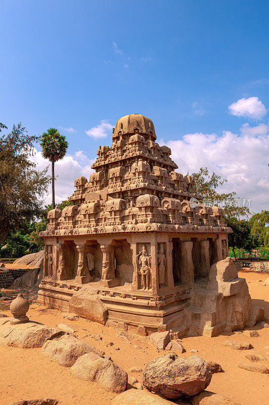印度，马哈巴利普兰:由一块花岗岩雕刻而成的帕拉瓦七世纪达玛拉伽拉塔