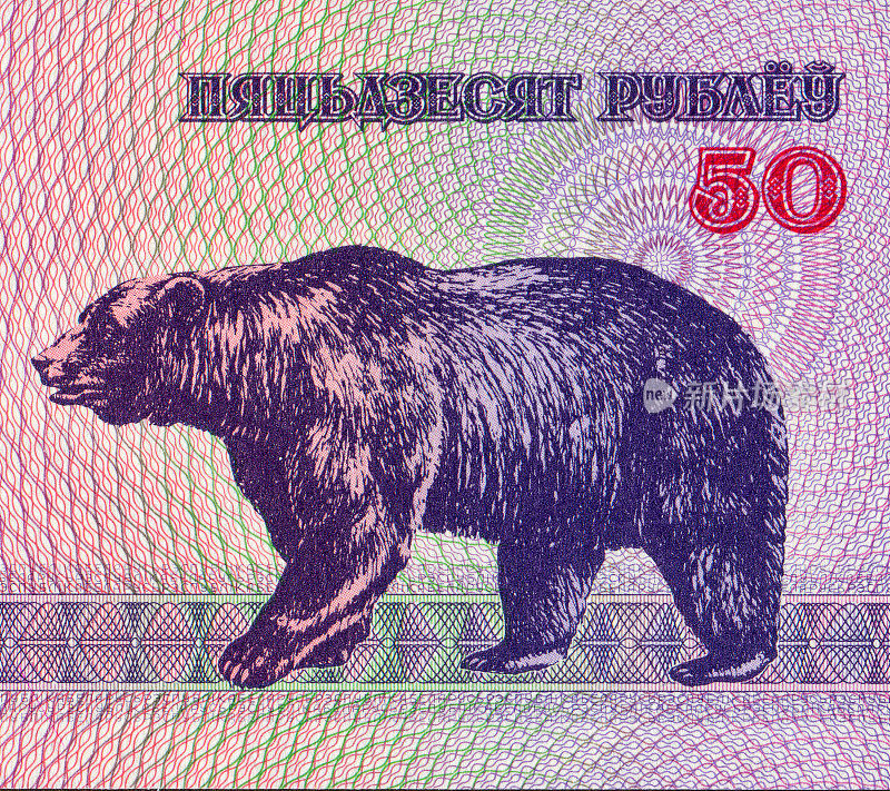 白俄罗斯钞票上的熊图案