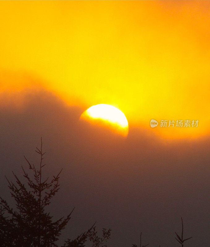 太阳被云遮住了