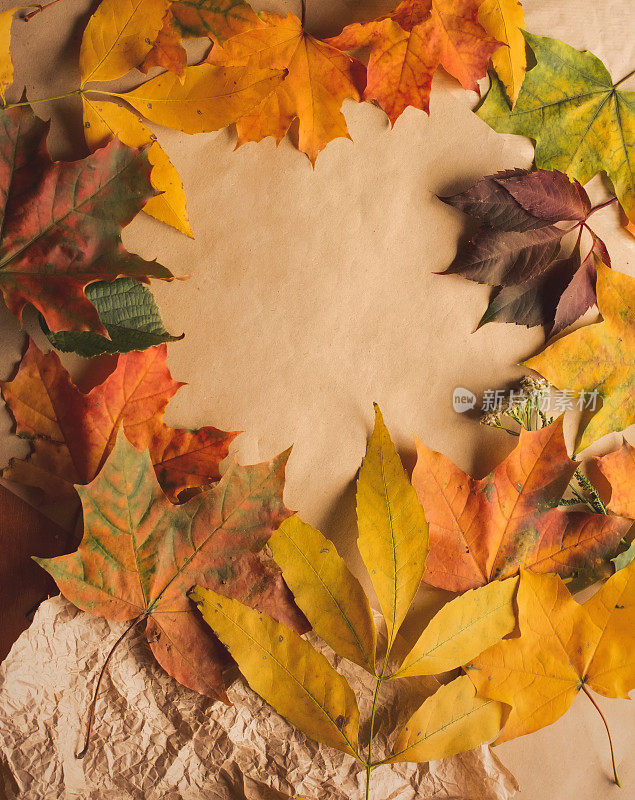 秋日秋日平卧顶景构图。黄、红、橙枫叶和工艺天然棕色纸。为文本留出空白复制空间的作文。对于海报、卡片