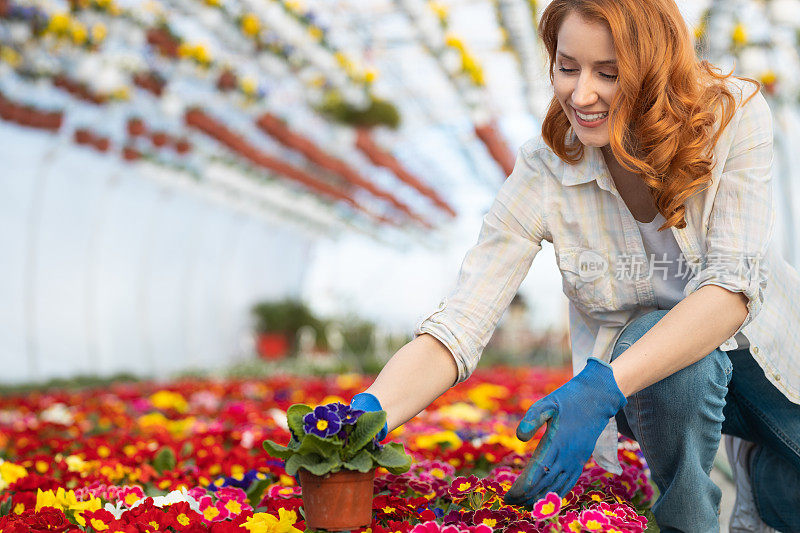 花园里的年轻女子