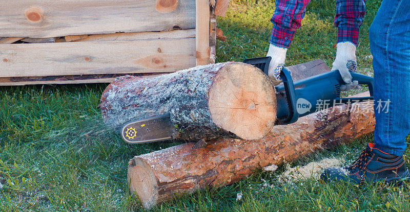 电锯。伐木工锯链锯的特写。电锯条和切割机。伐木工在锯木厂用链锯锯树。