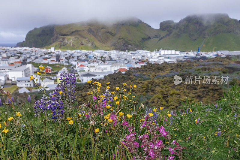 威斯特曼群岛，黑迈岛五彩缤纷的风景。