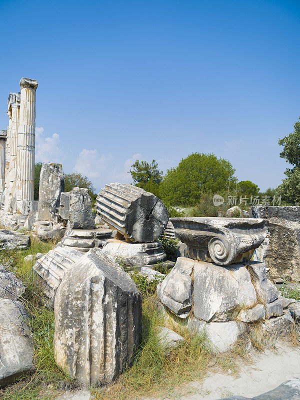 春草古城，aydın。火鸡