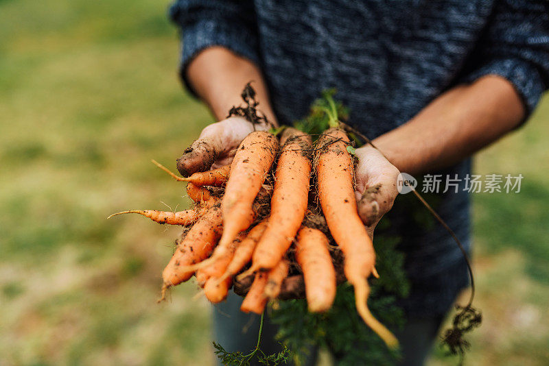 肮脏的手，干净的灵魂