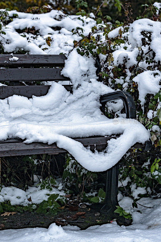 雪地里的公园长椅