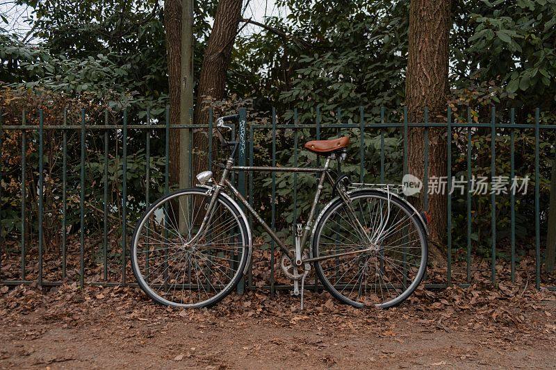 在宁静的公园里，一辆老式自行车停在大树前的门口