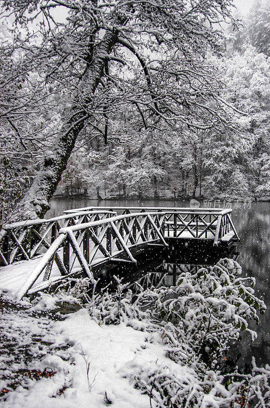 冬季Yedigöller国家公园的森林景观和原木露台