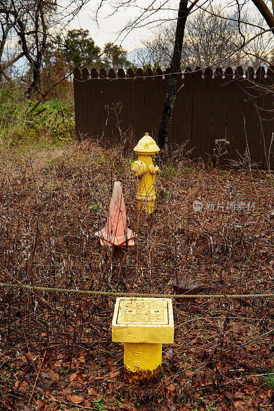 棕色草地上的黄色消防栓和橙色安全锥