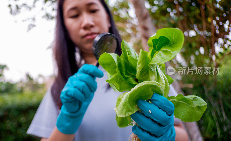 手持绿叶植物的女园丁。