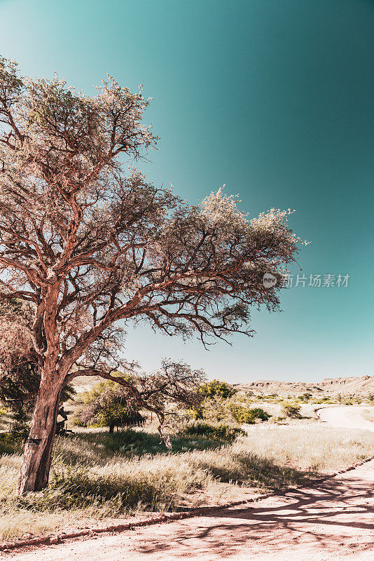 在非洲纳米比亚的自助狩猎之旅中驾车穿越美丽的风景