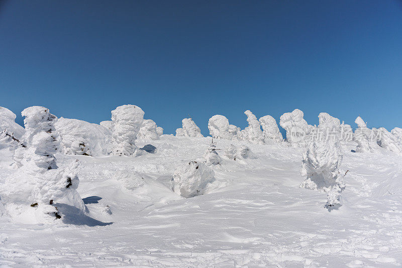 日本青森县冬季的客田山