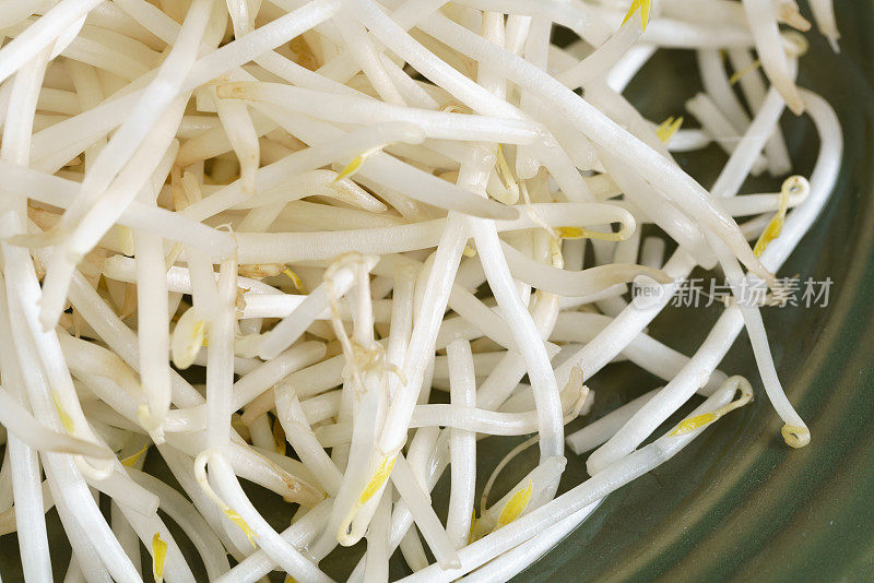 特写有机绿豆芽食品