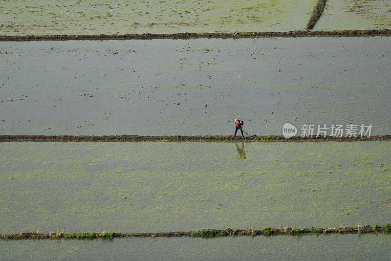 从上方俯瞰Çorum地区Osmancık水田的灌溉景观。