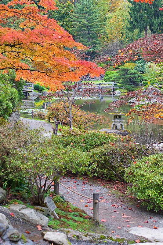 秋天的日本花园