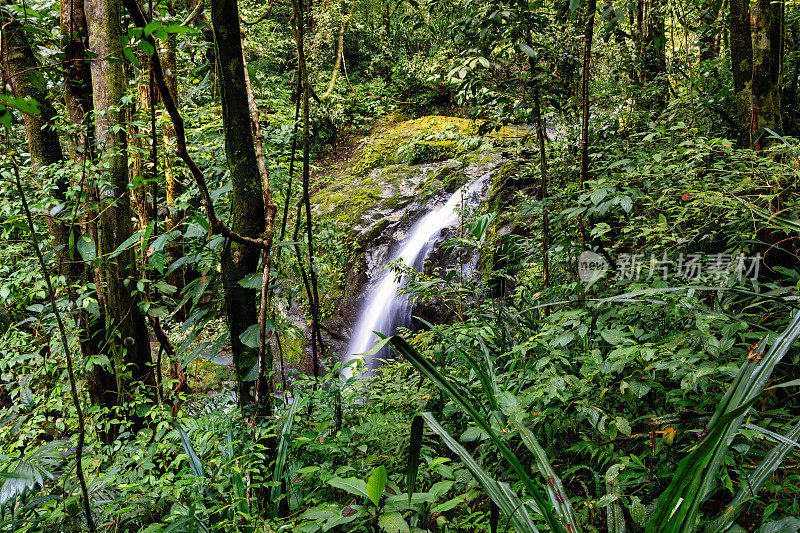 瀑布在森林深处，曼努埃尔·安东尼奥国家公园，哥斯达黎加的荒野景观