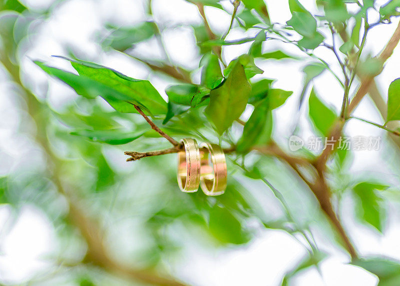 花卉背景的结婚戒指