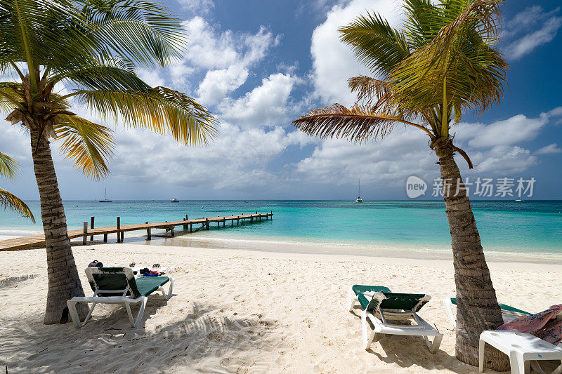 阿鲁巴棕榈滩的椅子和棕榈树