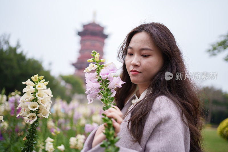 欣赏毛地黄花的女人