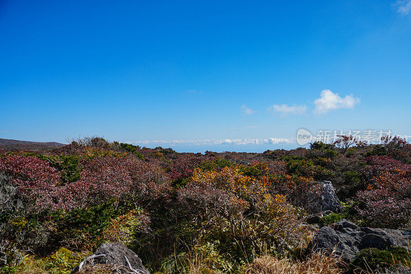 徒步登山(济州汉罗山)