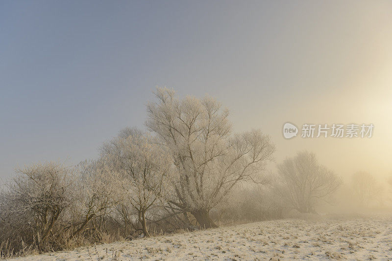 冬天的艾塞尔有雪有雾