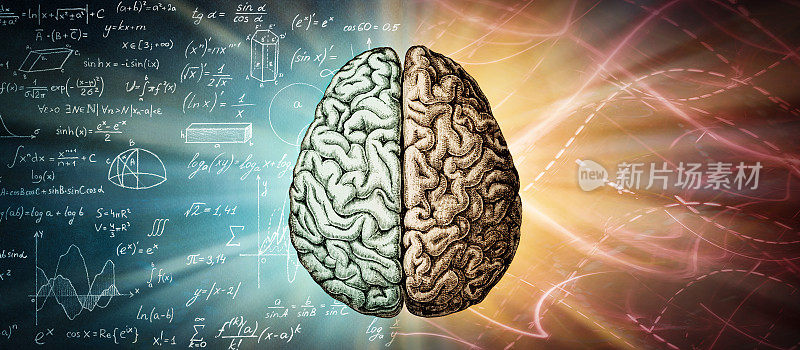 人类的大脑是一个创造性的背景。右脑的创造性和左脑的逻辑性。关于教育、科学和医学主题的概念。