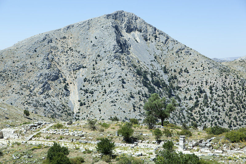 萨加拉索斯古城的亚历山大大帝山