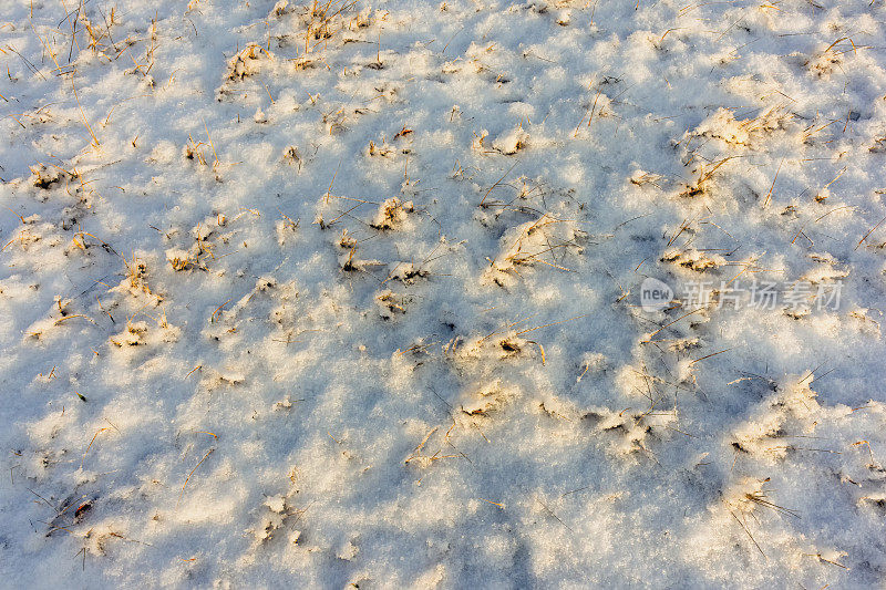 冬日的雪洒在晒干的草地上