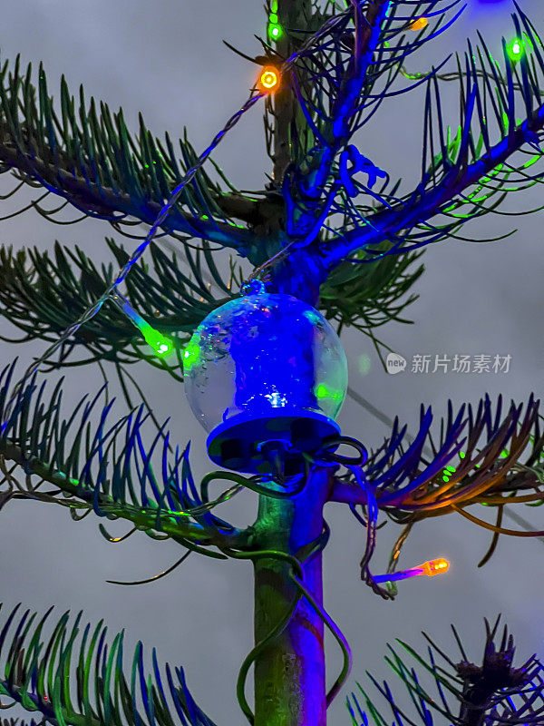在一棵生长在户外的加利福尼亚冷杉树上，一个带有天使的发光泡泡作为装饰