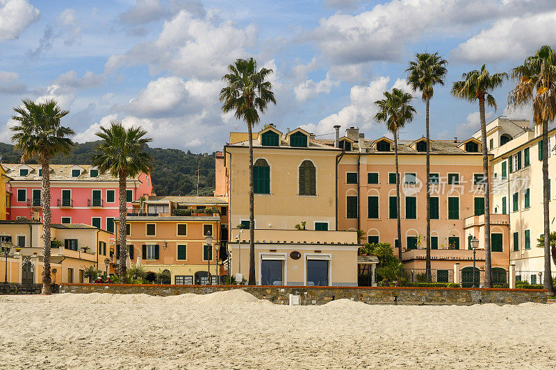 在意大利利古里亚萨沃纳的莱格利亚，从意大利里维埃拉的老渔村的沙滩上观看，“意大利最美丽的村庄”之一，有高大的棕榈树和典型的彩色房屋