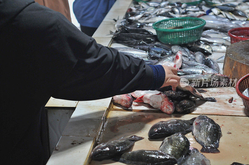 在传统市场卖鲜鱼的小贩