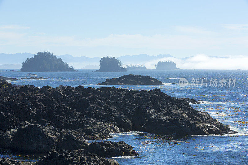 Ucluelet,温哥华岛