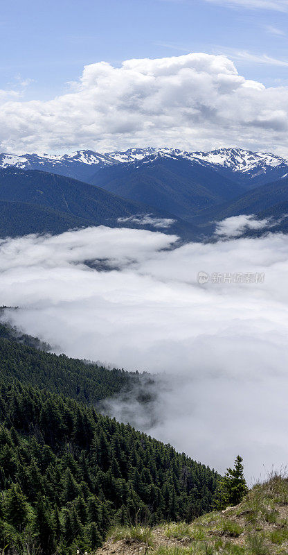 全景奥林匹克山飓风脊奥林匹克国家公园华盛顿州