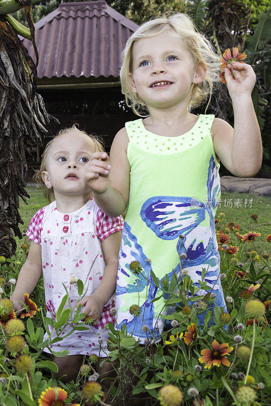 小女孩们一起站在雏菊丛中