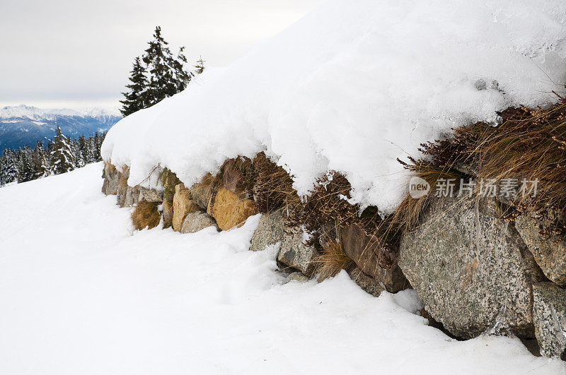 石墙，雪，草和石南植物