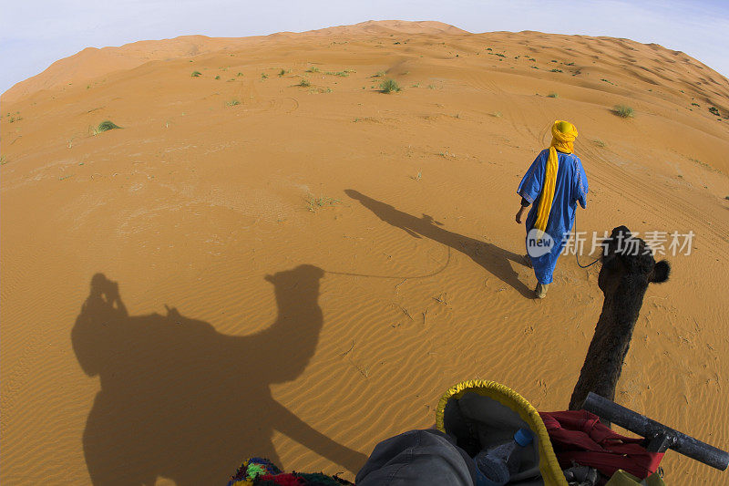 牧民牵着骆驼，撒哈拉沙漠，摩洛哥