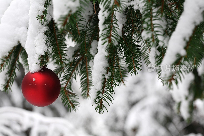 圣诞装饰雪松树
