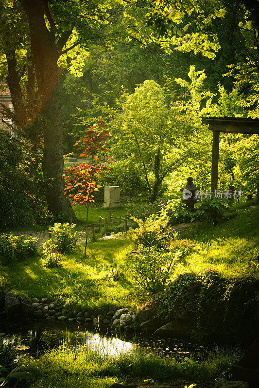 日式花园池塘