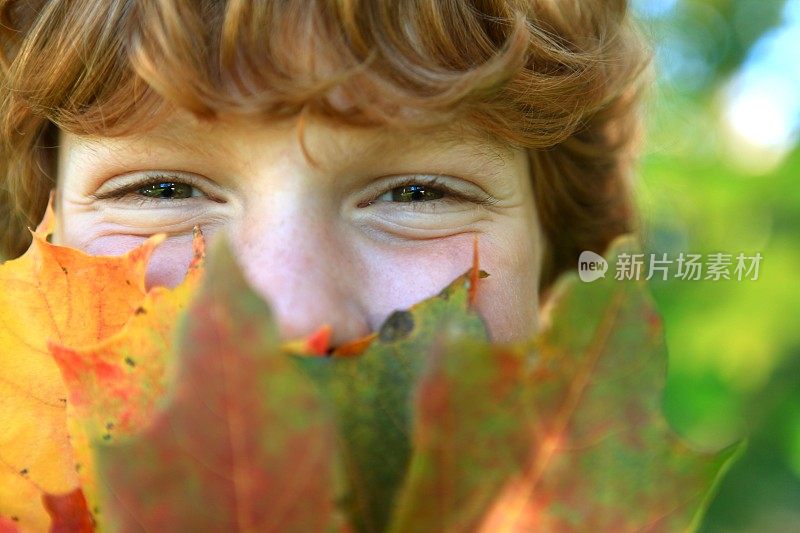 从秋叶后面偷看的男孩