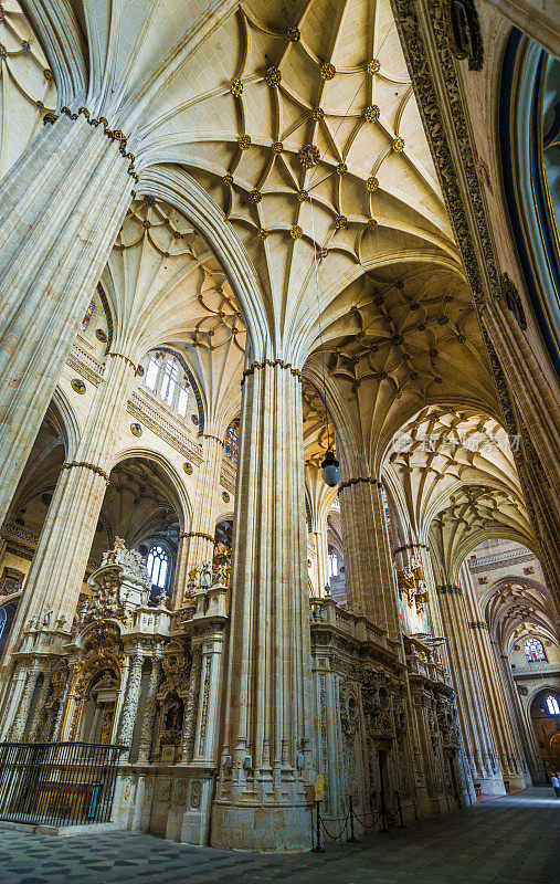 西班牙萨拉曼卡新大教堂的柱子