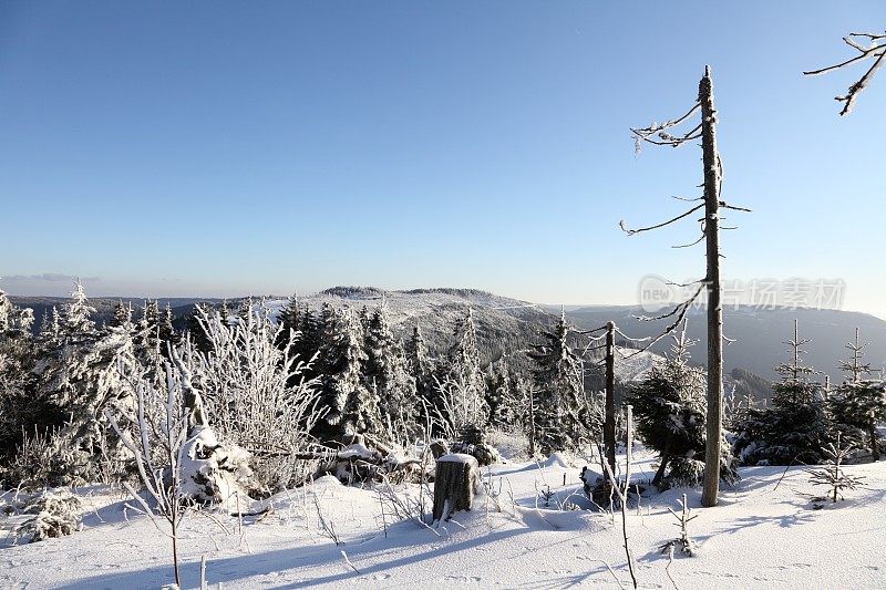 冬天的风景与雪在黑森林